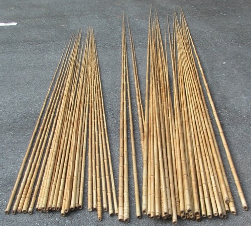 竹竿＆釣り堀の竿製造（つり具の木下）:竹の釣り竿＆釣り掘り向け